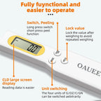 Digital Spoon Scale zambeel