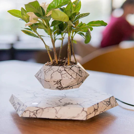 Levitating Magnetic Floating Marble Pot zambeel