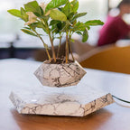 Levitating Magnetic Floating Marble Pot zambeel