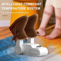 Instant Shoe Dryer zambeel