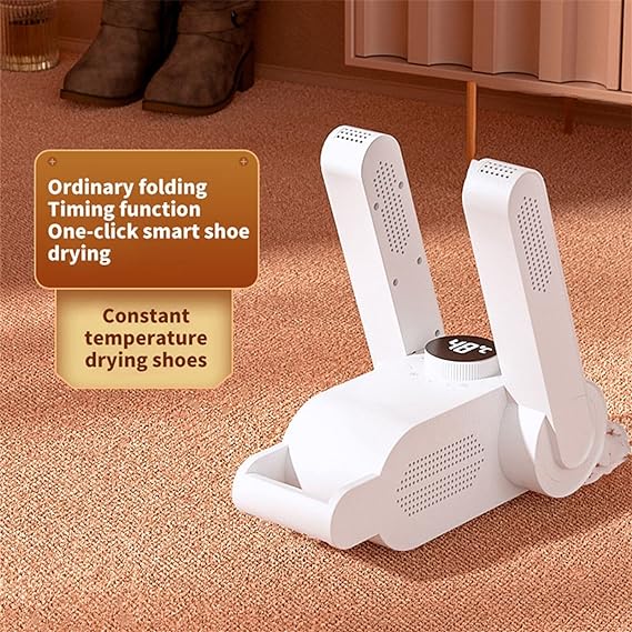 Instant Shoe Dryer zambeel